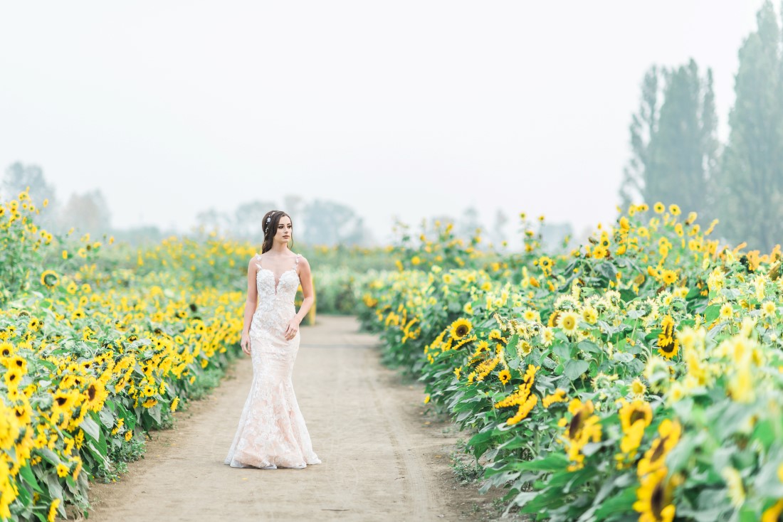 Sunflowers and Sunshine Wedding Inspo bride in fields of sunflowers