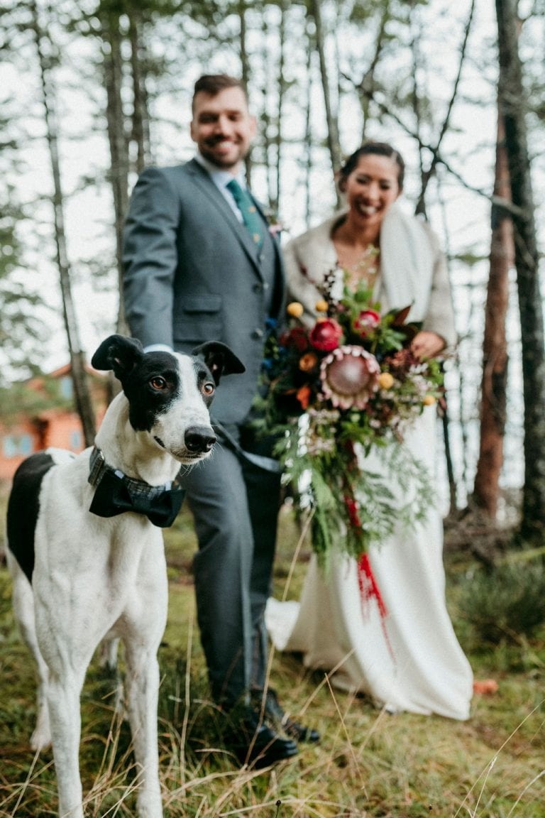 Dog peers at camera with newlyweds behind him by Anastasia Photography